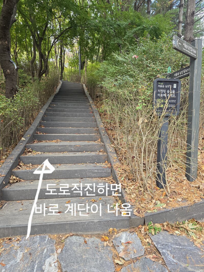 서울에서 남산타워,롯데타워를 볼수있는 공원 (12)