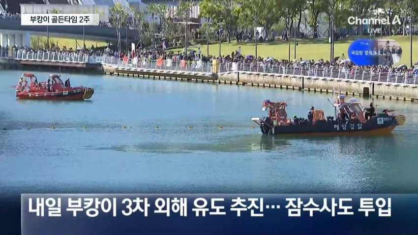한 달째 갇힌 부산 상어…세 번째 탈출 작전 (12)