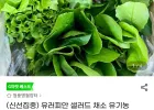 유러피안 샐러드 채소 유기농 1kg(4종 랜덤)