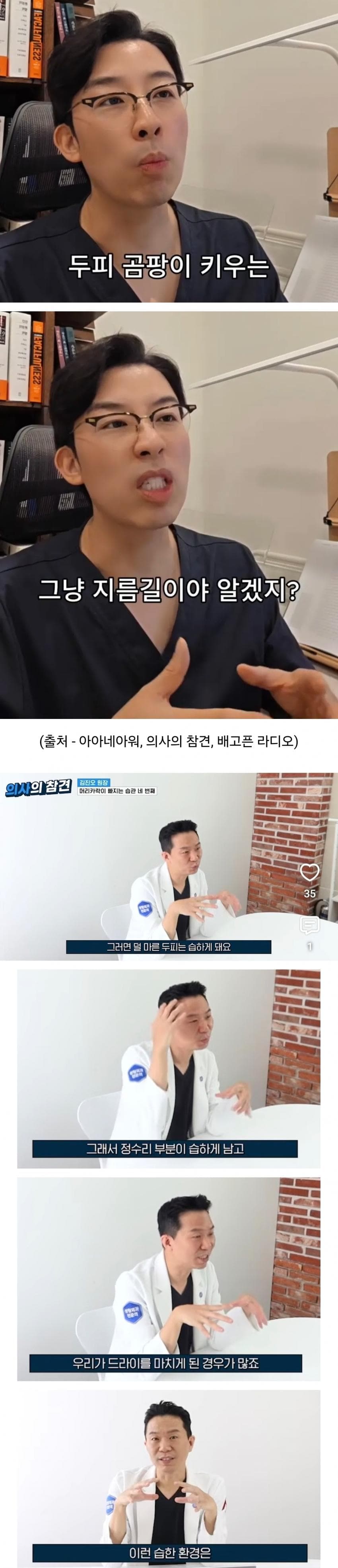머리 감고 잘 말려야하는 이유 (4)
