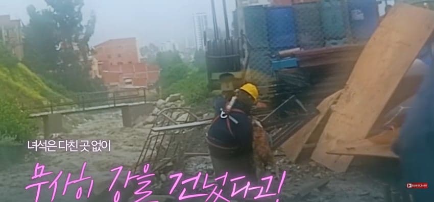 불어난 급류에 강아지 구하러 뛰어든 남자 (20)