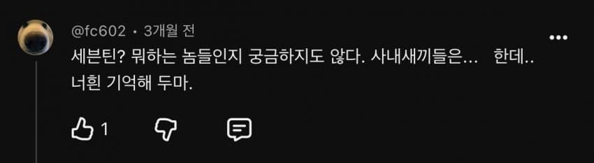 민심 돌아서게 만든 리센느 일부 팬들 댓글들 (6)