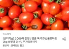 대추방울토마토 2kg 로얄과