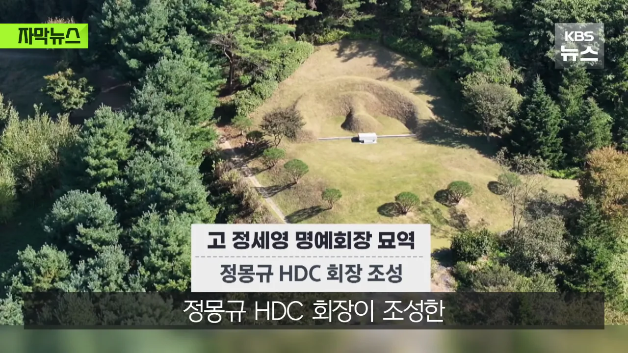 명당 차지한 범현대가 2세들…취재가 시작되자 "시정하겠다" (6)