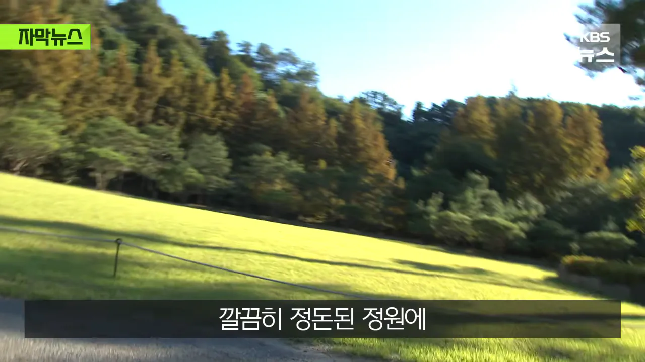 명당 차지한 범현대가 2세들…취재가 시작되자 "시정하겠다" (13)