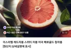 미국 레드 자몽 특대과 4.5~5kg 12과