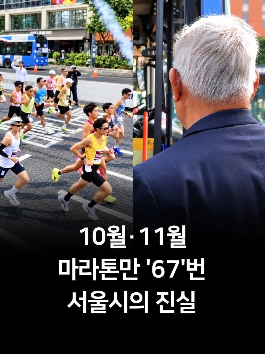 10월·11월 마라톤만 "67번" 서울시의 진실