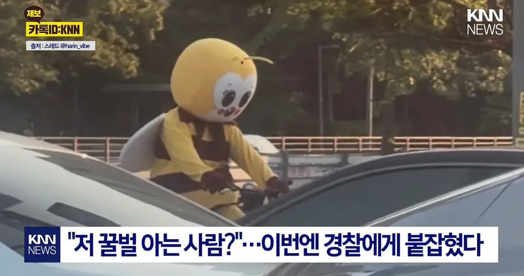 9년째 목격 된다는 꿀벌 인형탈을 쓴 사람