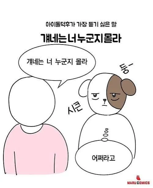 아이돌팬들이 가장 듣기 싫은소리