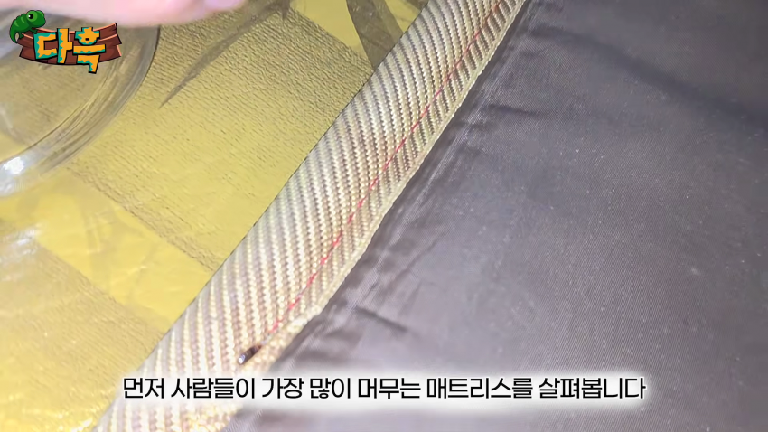 오싹오싹 부산 찜질방에 출몰해서 난리난 빈대(베드버그)상황 (12)