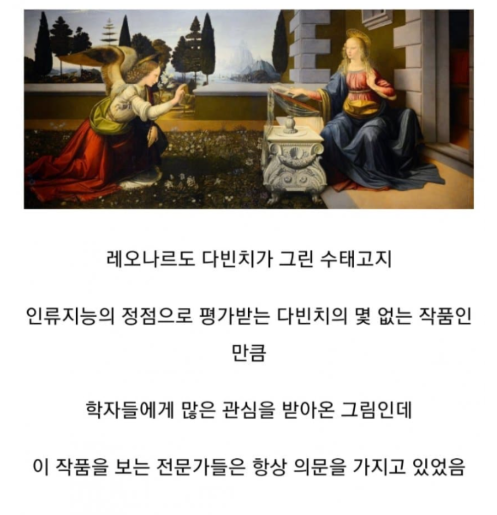 너무 이상하게 그려 의문이었던 다빈치 그림