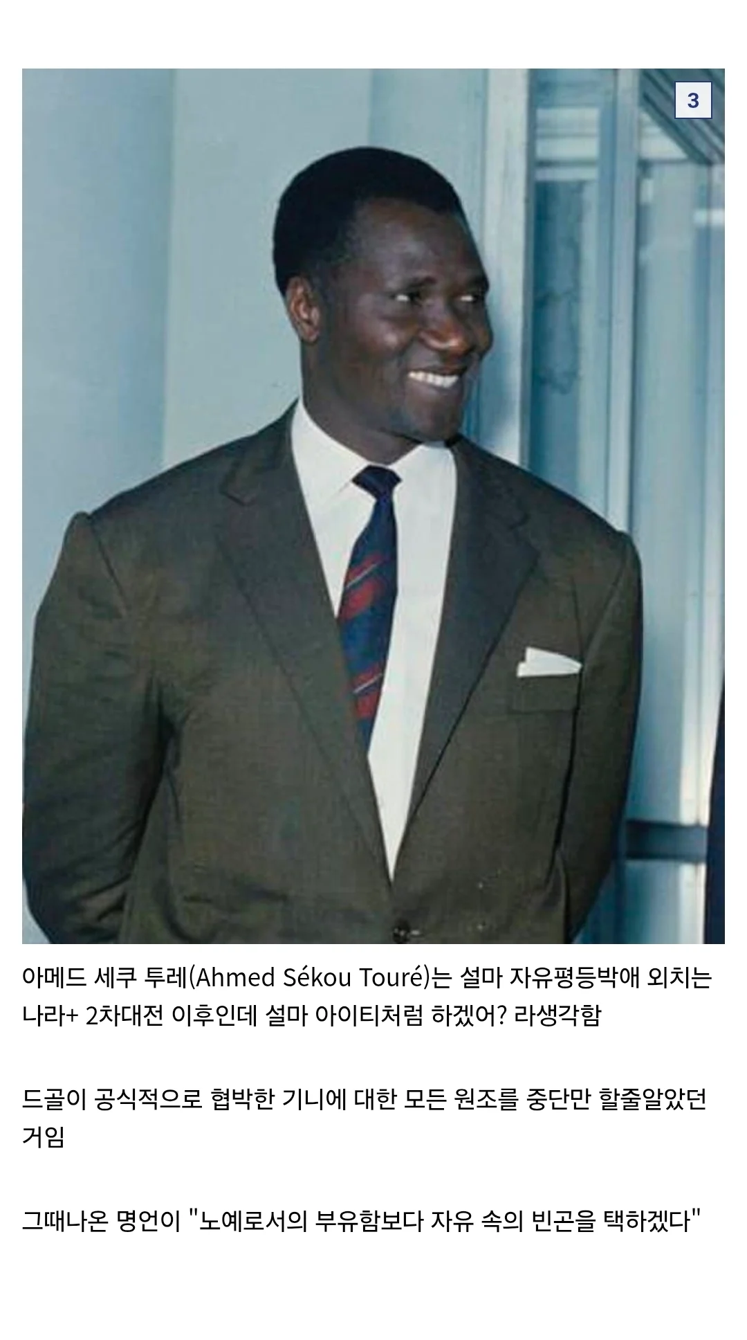서아프리카 기니한테 프랑스가 한일 (3)