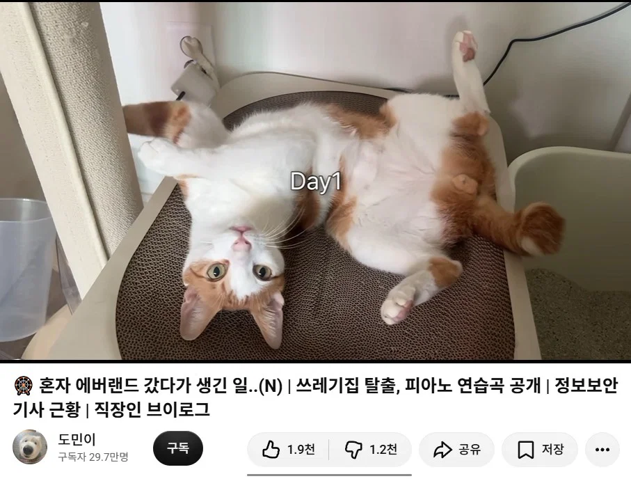 '여자 혼자 놀이기구 탔더니 생긴 일' 피해자 2차가해중인 남초