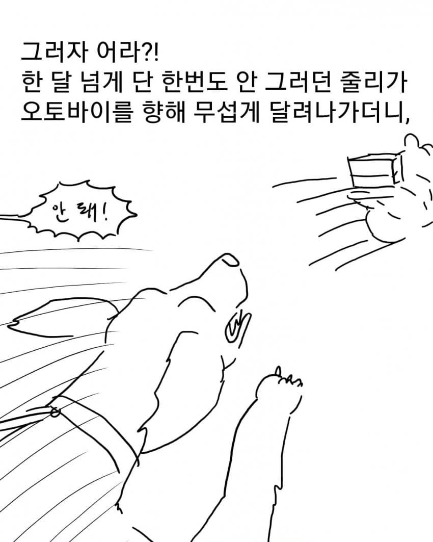 오토바이 무서워하는 강아지 교육하는 만화 (12)