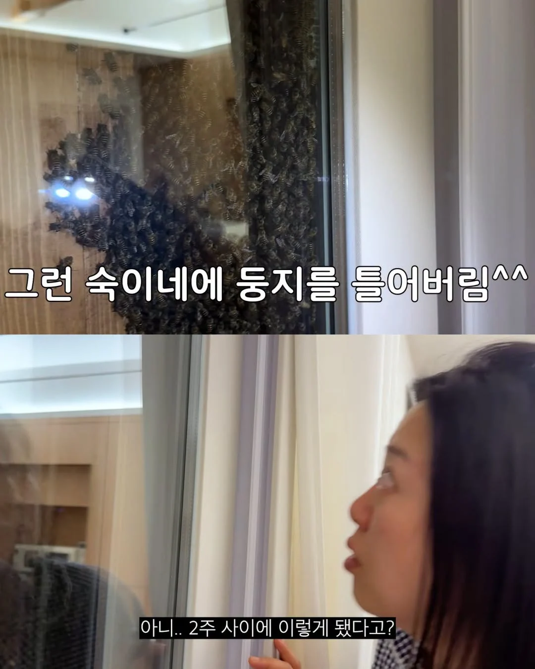 2주만에 제주도 집 갔다 119 부른 김숙