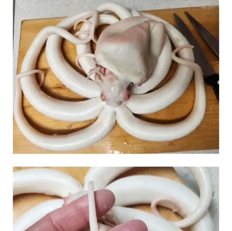 의도치 않은 해산물 손질의 달인 (6)