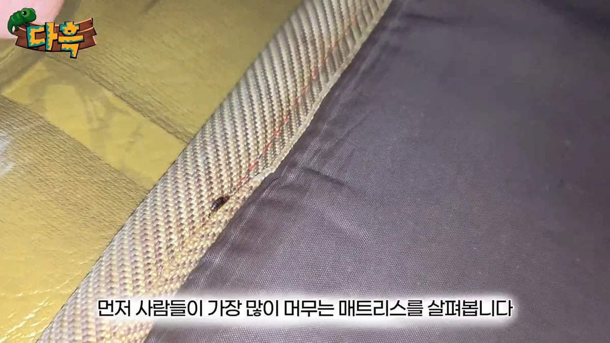 부산 찜질방 빈대 이슈 업로드한 유튜버 다흑... (27)
