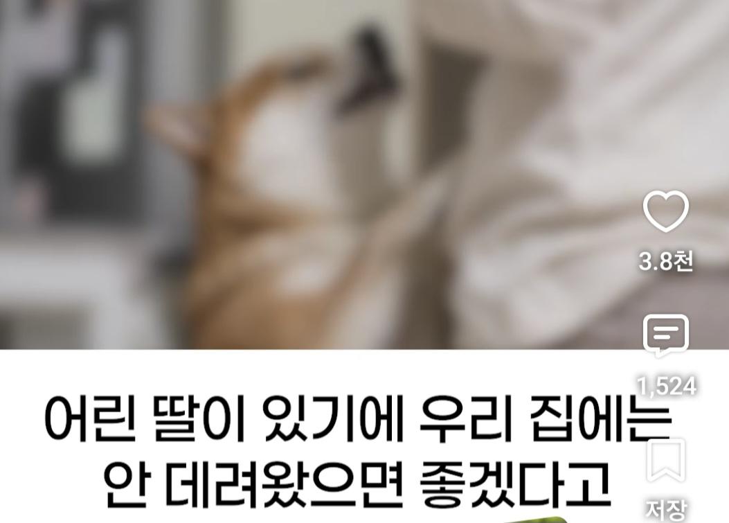 처제의 시바를 뒤지게 팼습니다 (4)