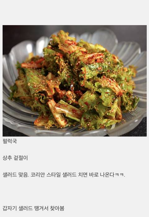 전 세계 나라들의 대표 샐러드