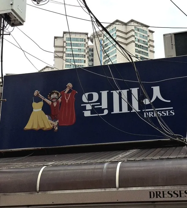 원피스를 손에 넣은 루피
