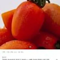 스테비아 토망고 500g 4팩