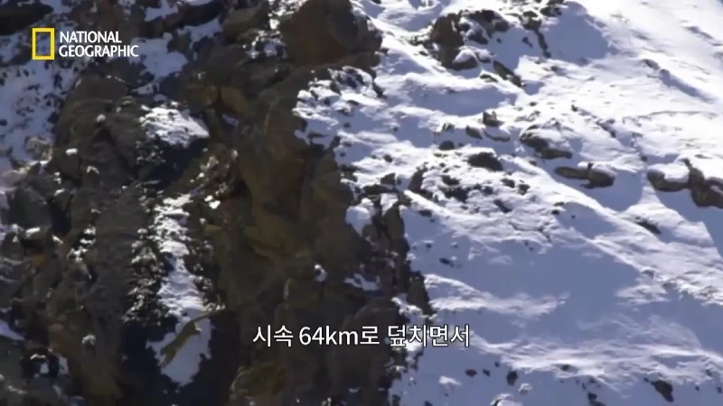 사냥 중 120m 절벽 아래로 떨어진 눈표범. jpg & YouT