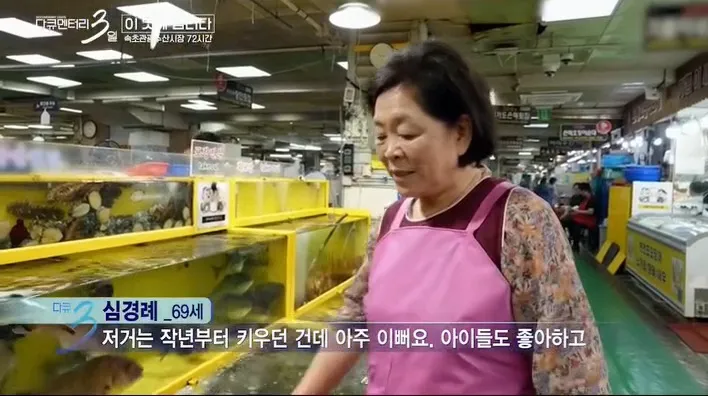 다큐 3일에 출연한 반려 가오리