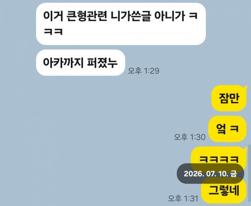 형에게 장난감 취급 당했다는 남동생들 (14)