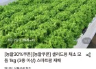 샐러드용 채소 모듬 1kg (3종 이상)