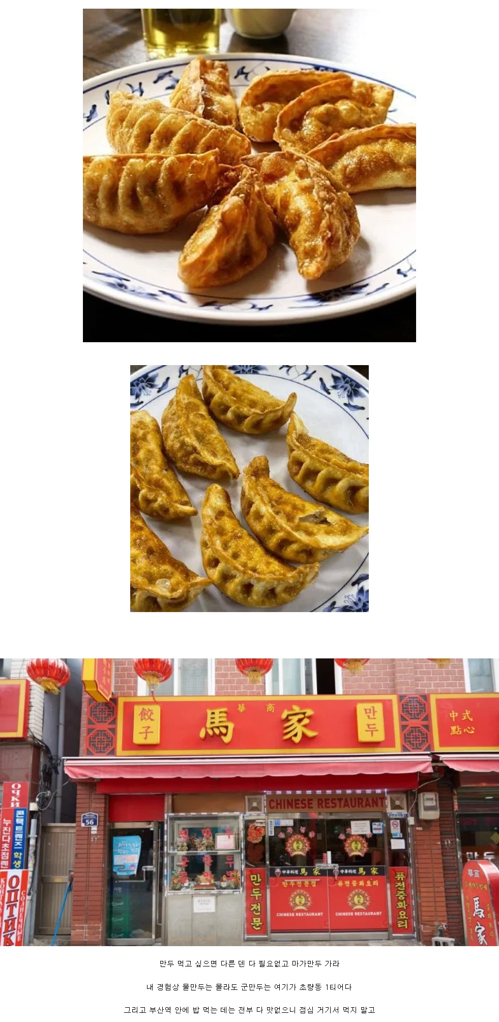 부산 상어 보러 북항 오는 애들은 중요한 거니까 이거나 봐라