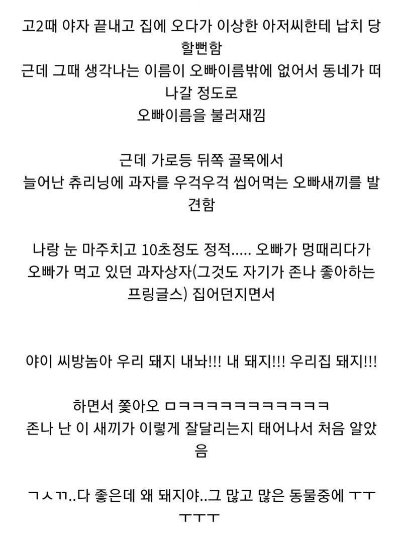 납치당할뻔한 여동생 구해주는 오빠