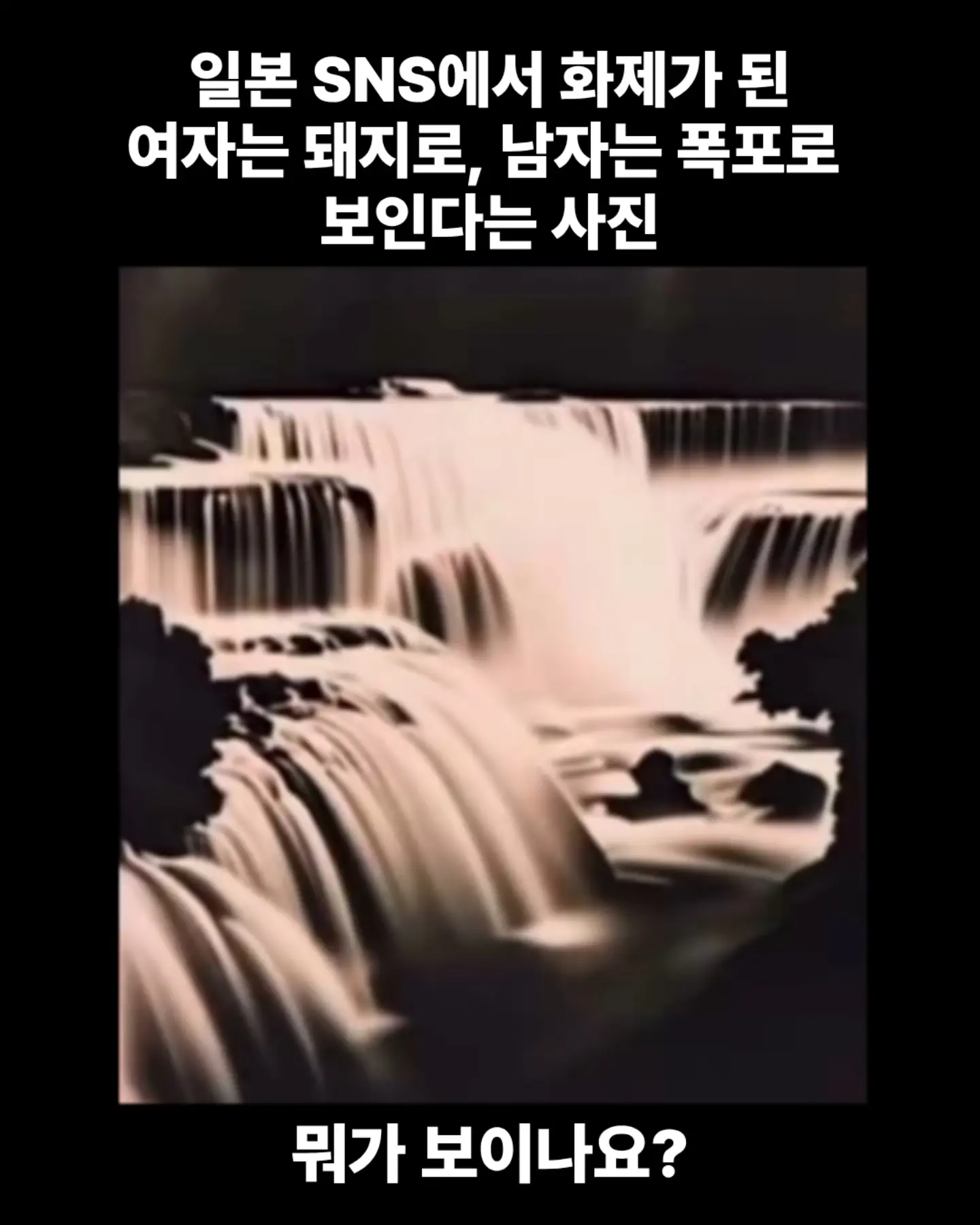 여자는 돼지로 남자는 폭포로 보인다는 사진