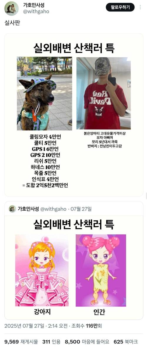 실외배변 산책러 견주들 옷차림 특징