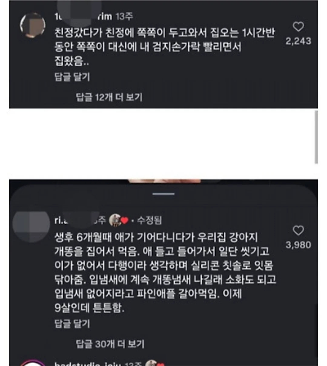 아기막 키우기대회 (5)