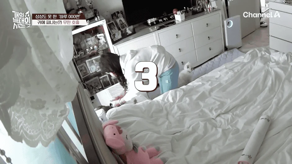 [#개와늑대의시간2] _저 같아도 물 것 같._ 하루에 개를 462번 부르는 보호자!_😨🚨 (귀에 딱지 앉을 듯.)🤕🐕 _ 개와 늑대의 시간2 17회 15-44 screenshot.png