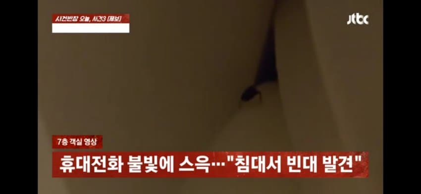 해운대 한 호텔에 빈대 출현…호텔은 "환불 불가" (2)