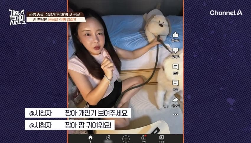 싱글벙글 반려견이 스트레스 받는데도 방송 촬영은 멈출 수 없다는 보호자 (13)