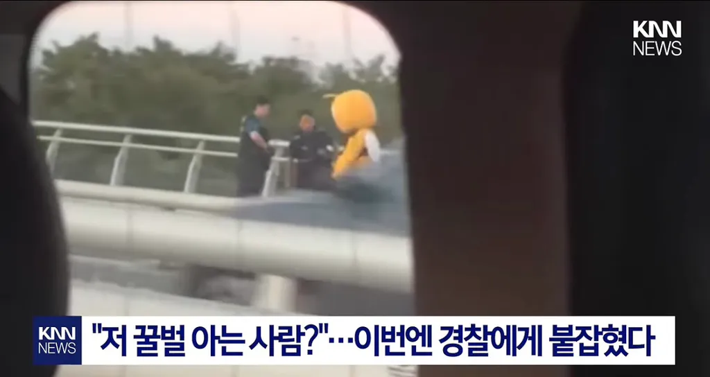 9년째 목격 된다는 꿀벌 인형탈을 쓴 사람