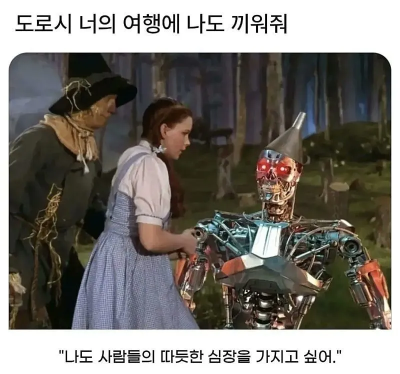 ???: 도로시 너의 여행에 나도 끼워줘