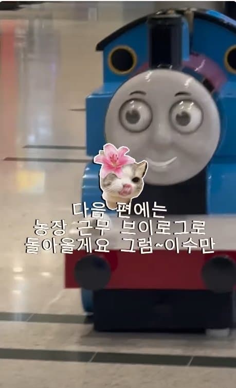 아일릿 원희 닮은07년생 한국여자 거친 호주에서  살아남기. ㄷㄷ (16)