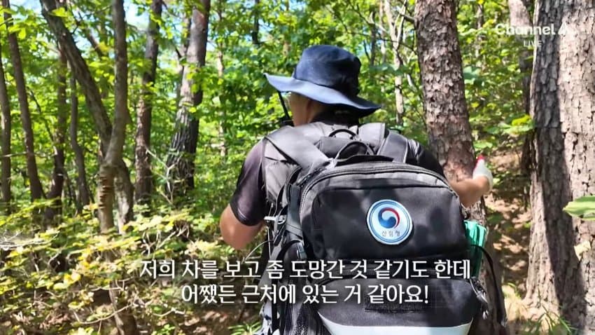 채널a) 송이버섯 1kg에 160만원...밤낮 추격전 (38)