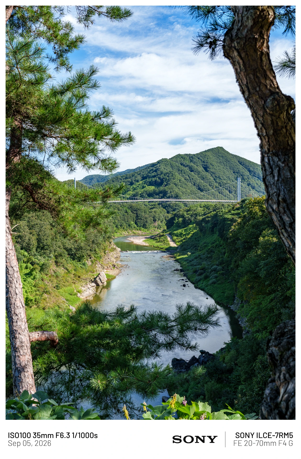 뒤늦게 올리는 하늘에서 본 불꼬ㅊ놀이 外 (11)