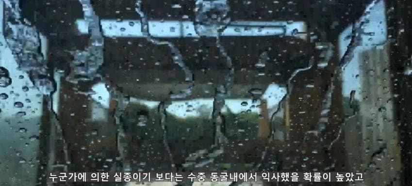 깊이를 알 수 없는 수중동굴에서 완전히 사라진 남자 (44)