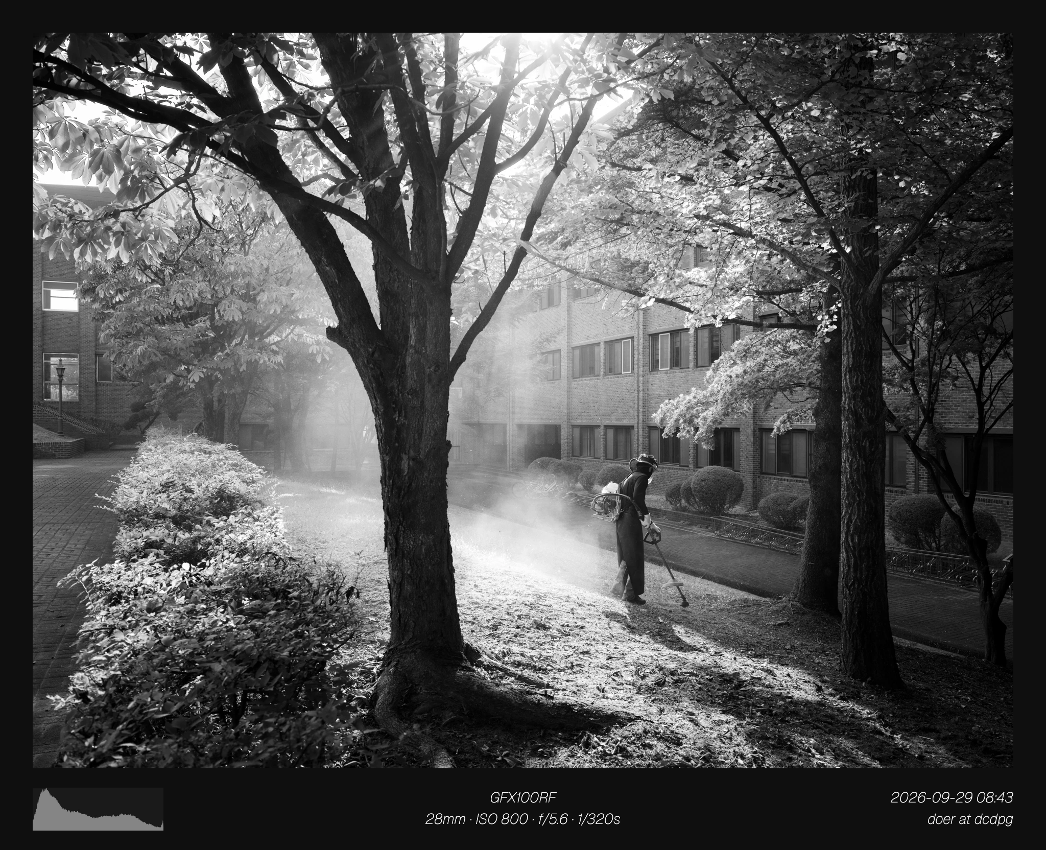 2026 3분기 결산 - 메인 (50장) (50)