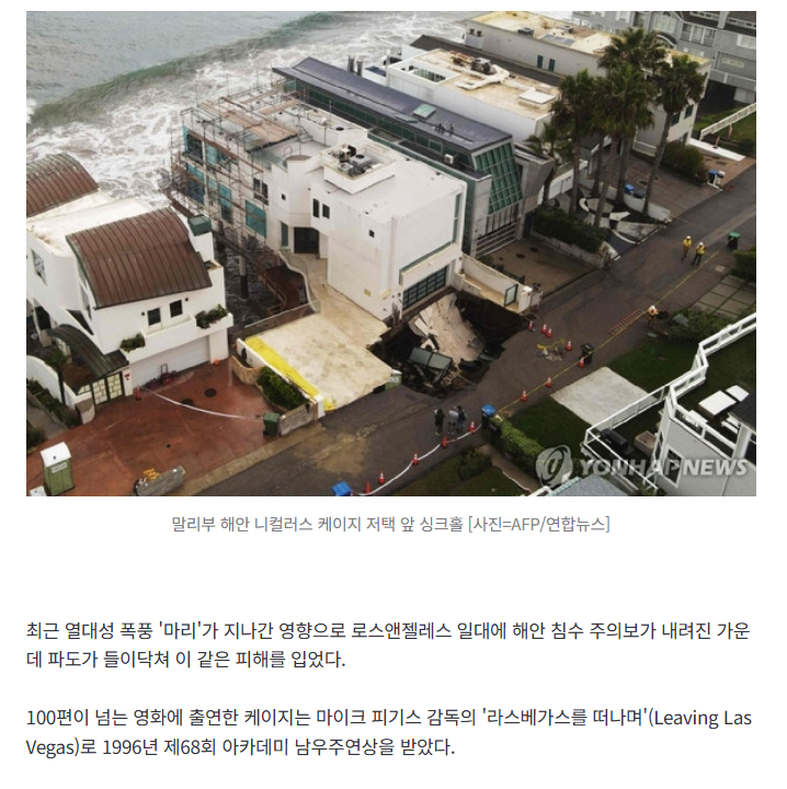 싱글벙글 니콜라스 케이지 근황 (3)