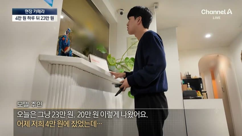 채널a) 어묵 1개에 1만원...축제 손님은 '봉'? (3)
