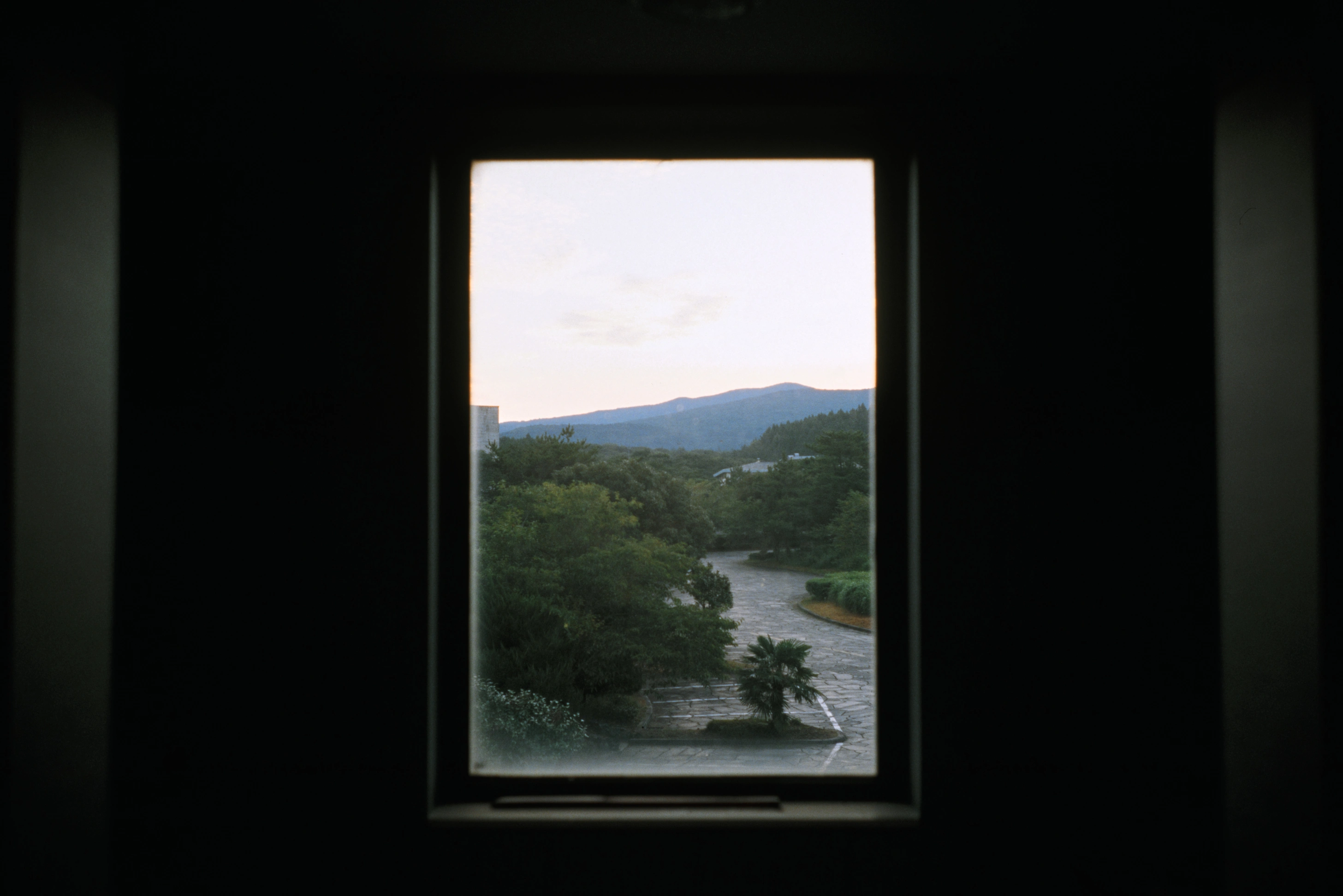 한여름 제주도 (25)