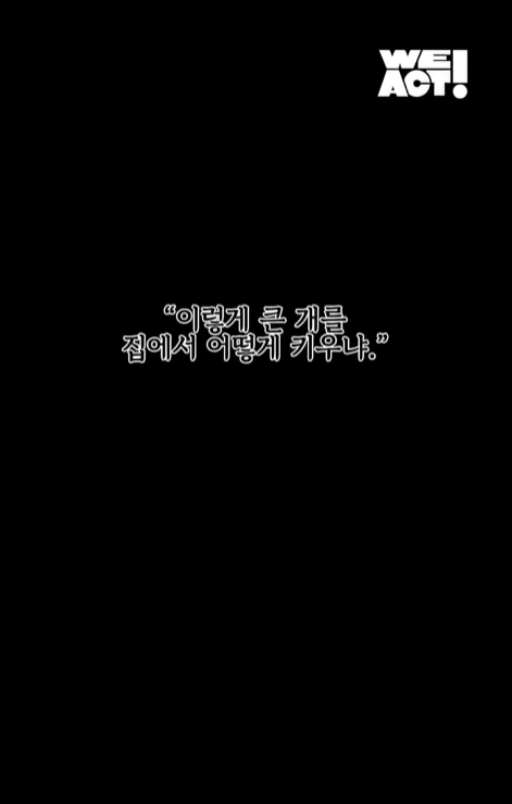 빡침주의) 폭염속 차 안에 살던 리트리버 카도 (6)