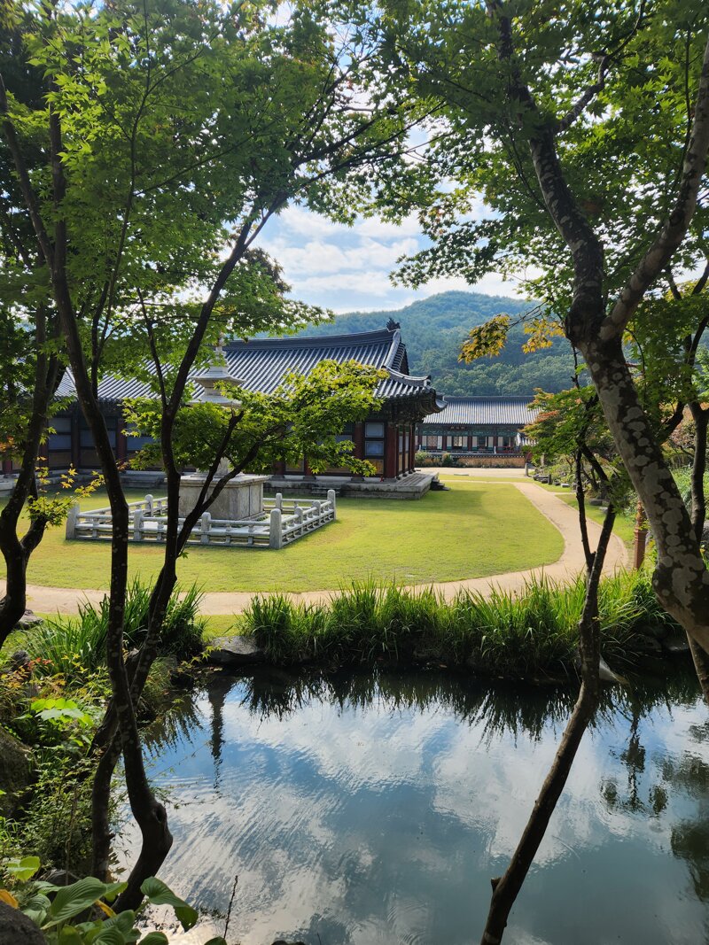 실시간 김천 직지사 풍경 (10)