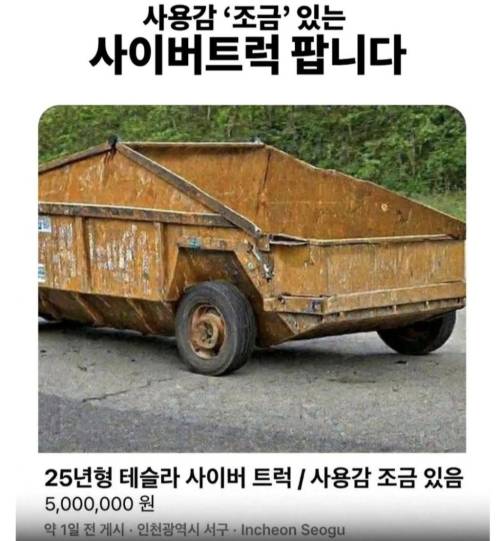 사용감 있는 500만원 짜리 사이버 트럭